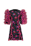 Celia B Lou Dress